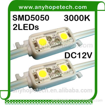 High Performance 2LEDs 0.48W led pixel light